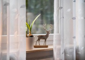Ferienwohnung Gaby Lehmann