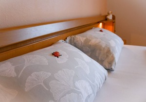 Ferienwohnung Lehmann, 65qm, 1 Schlafzimmer, max. 5 Personen