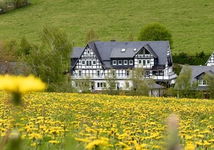 Ferienwohnung Mühlenteich 36qm, 1 Schlafzimmer, Balkon 24qm, Max. 2 Personen
