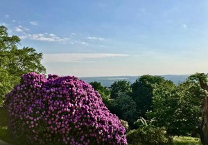 Ferienwohnung Natur und Kunst