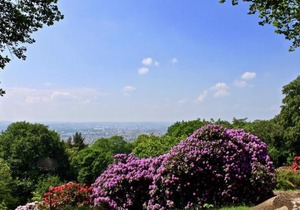 Ferienwohnung Natur und Kunst