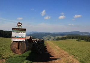 Ferienwohnung Schwarzwald in der Pension Glöcklehof