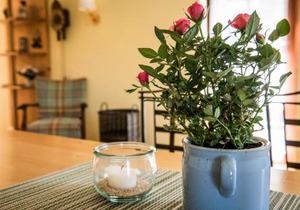 Ferienwohnungen Alte Destillerie Rathen