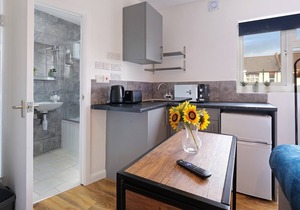 Fernbank Studios Sudbury Hill Harrow with En-Suite - 13