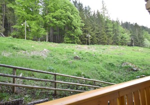 FEVRI NIDO