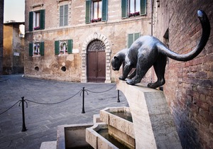 Few Steps from the Duomo - Luxury Apartment 2
