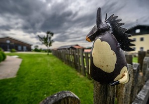 FeWo auf einem voll bewirtschafteten Bauernhof mit Streichelzoo