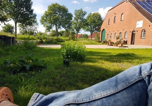 FeWo Blied am Gulfhof Anelis