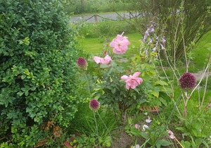 FeWo Blied am Gulfhof Anelis
