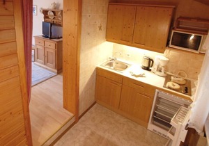 Fewo Nr. 1 und 2 Friedrichsruh für 1-2 Pers., ca. 40 m², 1 Schlafzimmer, Wohnzimmer, Küche, Balkon