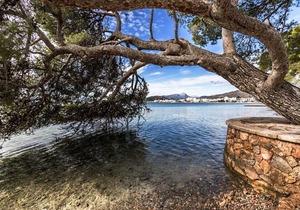 Finca Colonia de Sant Pere