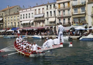 FLAMANTS ROSES 3