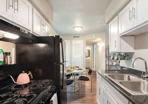Flamingo 2 | 1-Bedroom| Near Downtown & The Domain
