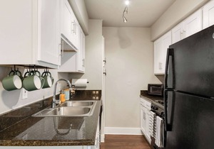 Flamingo 2 | 1-Bedroom| Near Downtown & The Domain