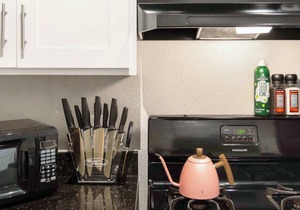 Flamingo 2 | 1-Bedroom| Near Downtown & The Domain