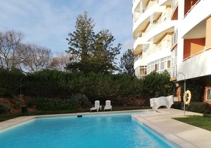 Flamingo Residence Apartment
