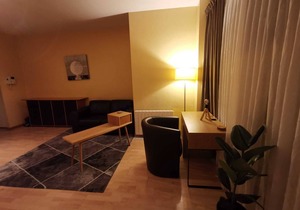 Flat to let Brussels center near metro Schuman