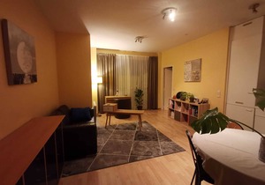 Flat to let Brussels center near metro Schuman