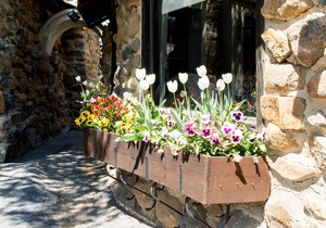 Flitwick Ranch, Swartberg, KwaZulu-Natal, South Africa