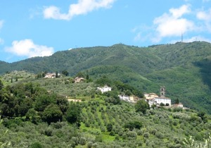 Fontanella in Lucca