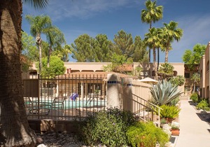 Foothills Beautiful and Comfy 2 Bedroom Apartment