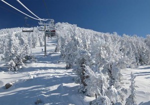 Forest Pines Condo 1 - 46