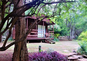 Fountain Baths Guest Cottages (unit 8)