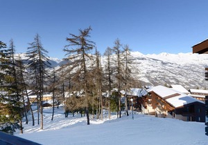 Bright Apartment Near Slopes · Wellness Area · Pet-Friendly