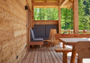 "franzerl Alm" für 2-4 Personen, Terrasse mit Bergblick, Whirlpool, Infrarotliegen