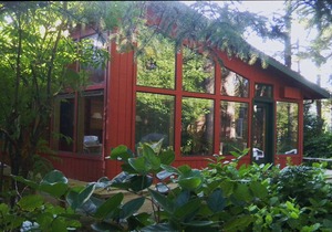 Free 3rd Night thru May! Walk Miles Of Quiet, Pristine Beach... Pet Friendly!