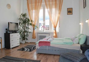 FREE GARAGE! Downtown apartment near the NEW YORK coffee house