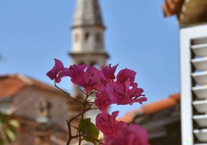 Freedom Hostel Budva
