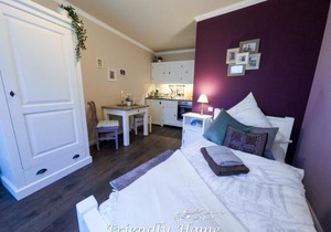 Friendly Home - Einzelappartement "Calm" Köln Bonn Phantasialand