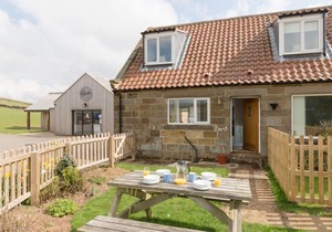 Fryup GIll Cottage 1 - UK10951