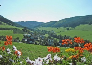 Fuchsbau, 30sqm, 1 living/bedroom, max. 2 persons