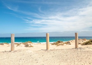 Fuerteventura Playa Jablito Parque Holandés