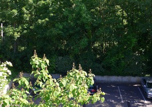 Furnished and furnished apartment