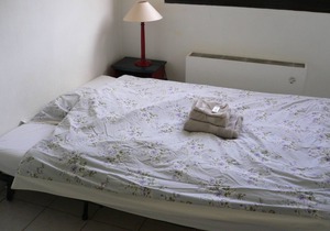 Furnished and furnished apartment