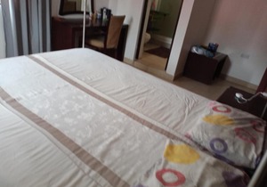 Furnished Apartment in Mikocheni