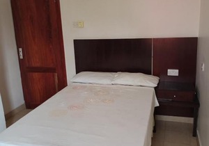 Furnished Apartment in Mikocheni