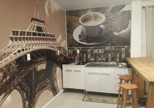 Furnished Apartment with Garage flat