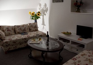 Furnished apartments in the small house