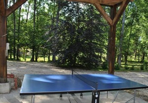 Gîte confortable avec parc boisé, activités familiales et équipements modernes près de la Loire - FR-1-381-470