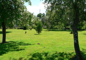Gîte de charme en Berry avec jardin privatif, idéal pour randonnées et observation des oiseaux - FR-1-591-184