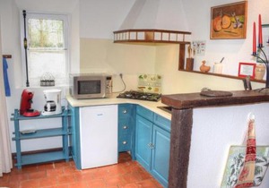 Gîte douillet en forêt d'Amboise, parc boisé 2.5 ha, cheminée, vélos, WiFi, jardin privé, animaux acceptés - FR-1-381-457