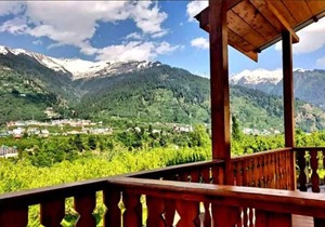 G Villas- Luxurious Cottage with beautiful mountain view 4