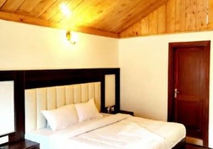 G Villas- Luxurious Cottage with beautiful mountain view 4