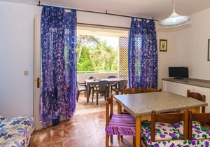 Gabbiano tree-room flat surrounded by the green of the quite pine forest