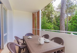 Gabbiano tree-room flat surrounded by the green of the quite pine forest