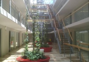 Gala Puerto, Punta del Este